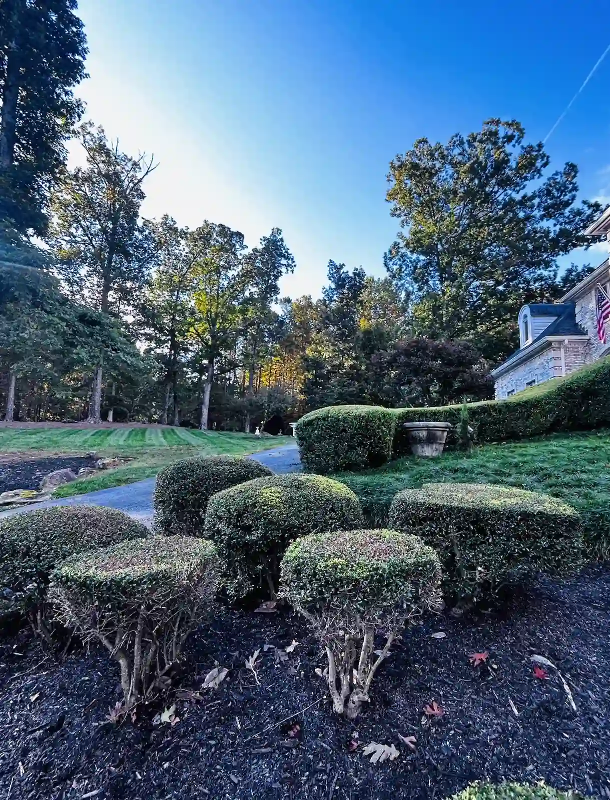 Boxwood shaping and seasonal cleanup at a stone-front home in Cherokee County, GA