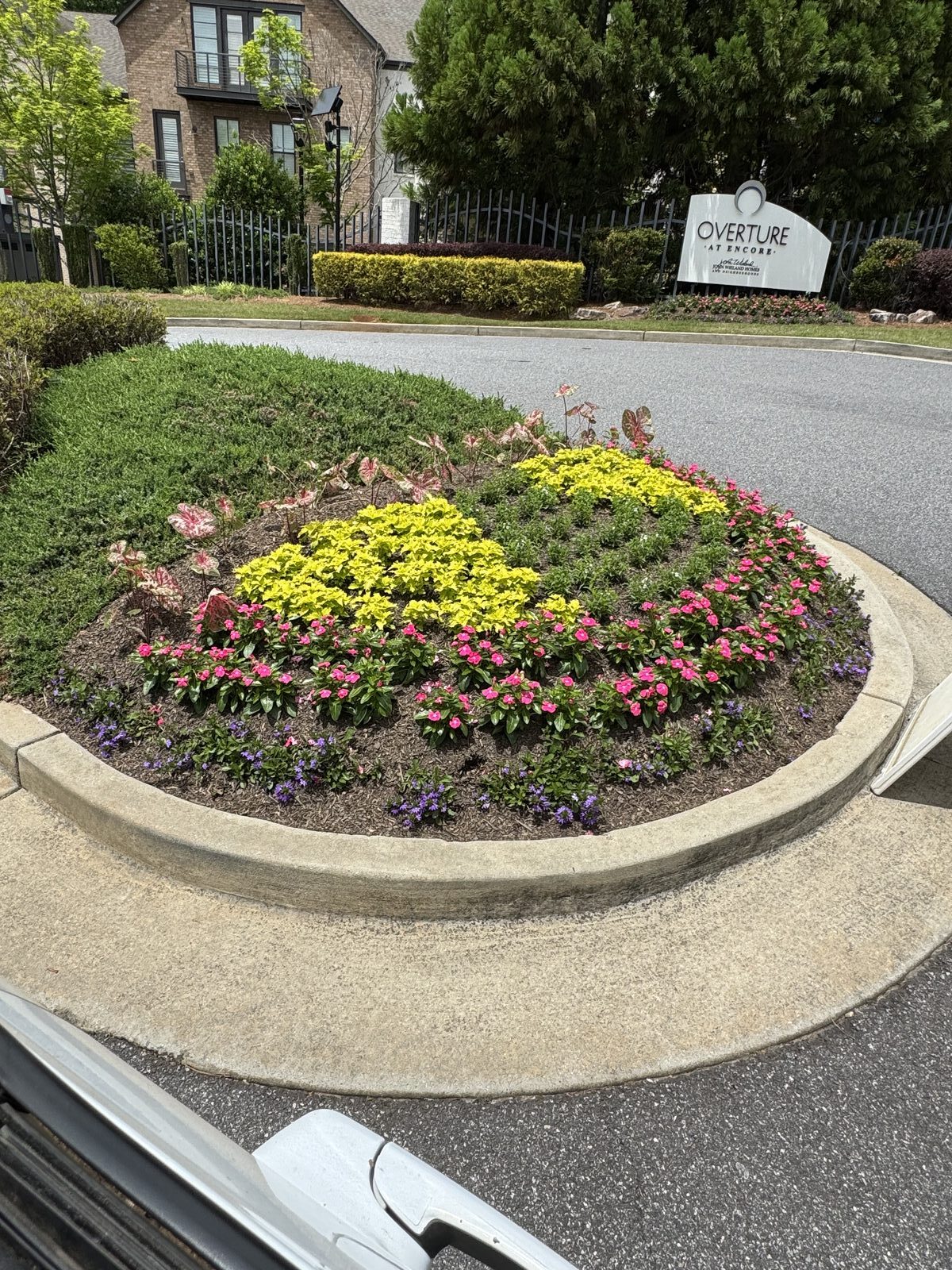 Commercial landscaping at Overture Encore in Alpharetta, GA