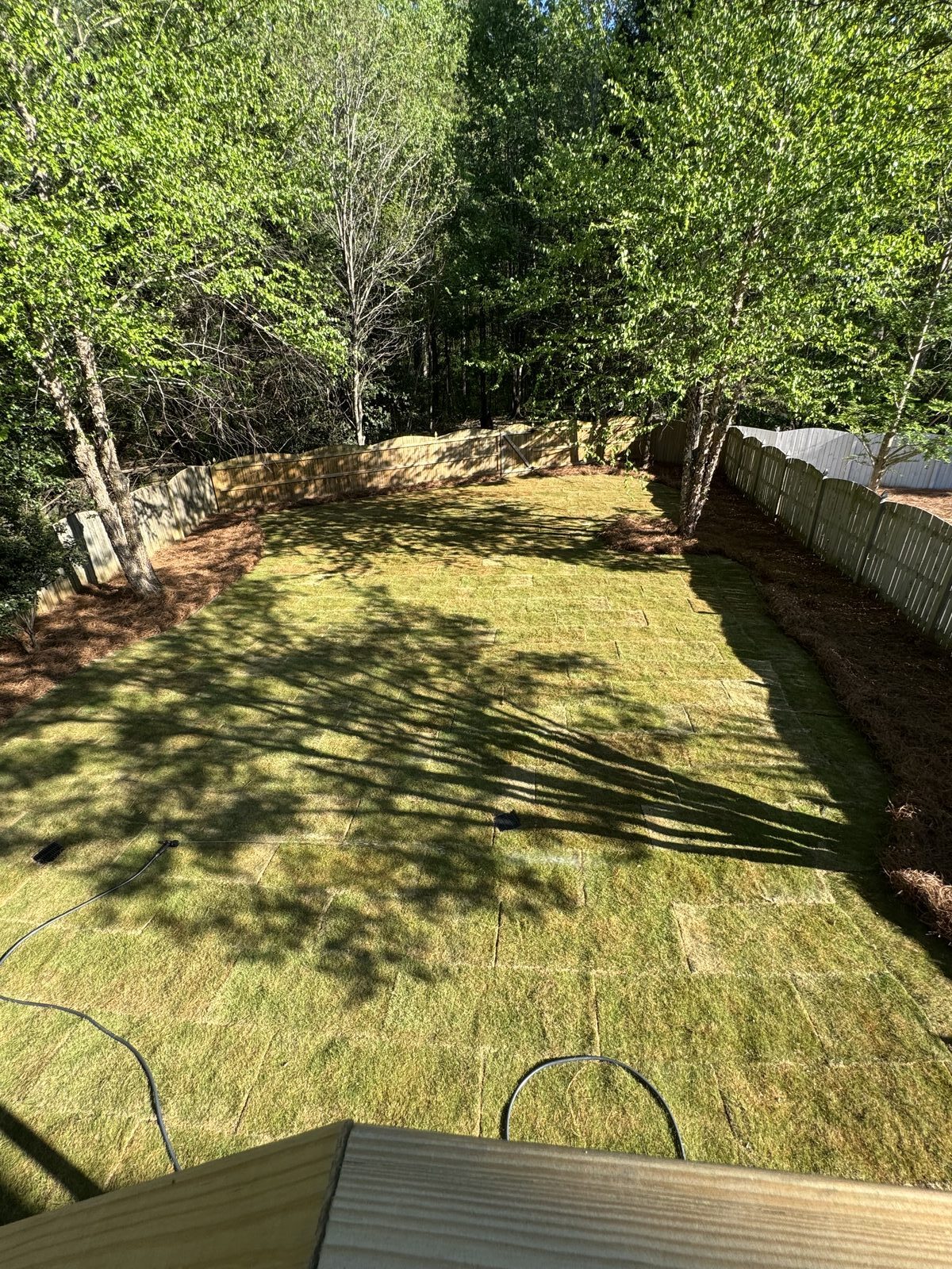 Fresh sod install in a Cherokee County backyard