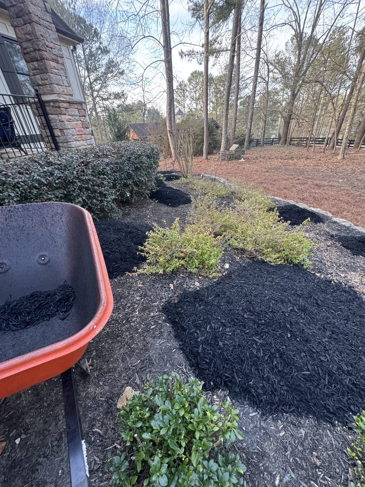 Mulch installation with wheelbarrow in Canton, GA