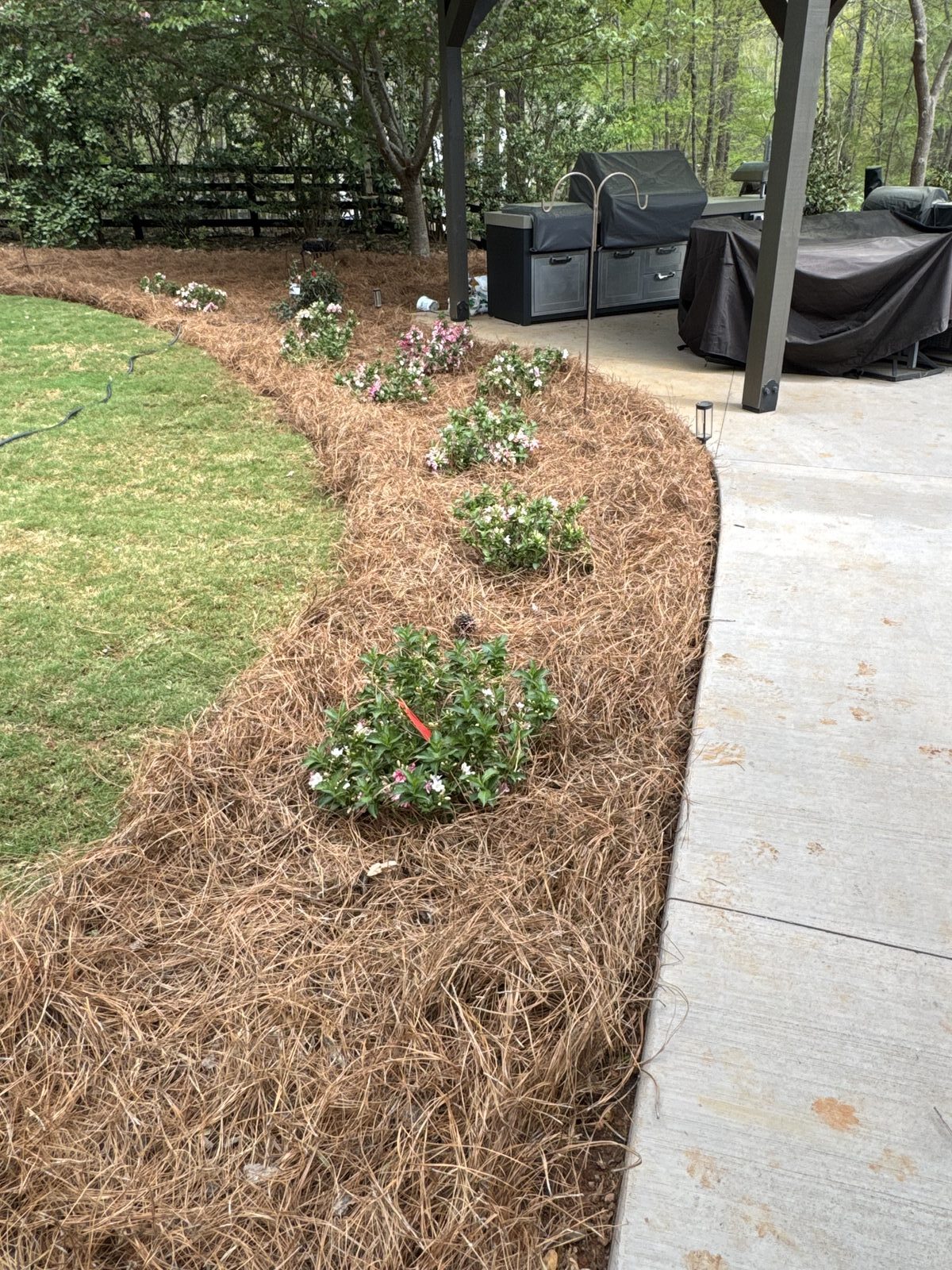 Pine straw and annuals at outdoor kitchen, Georgia