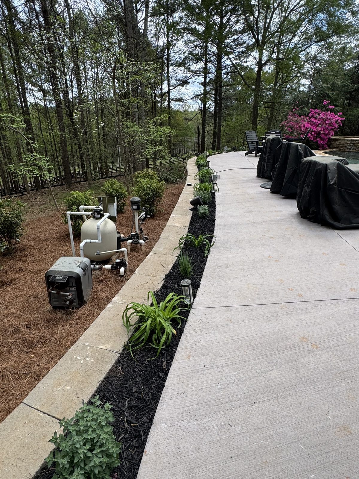 Pool deck landscaping with azaleas in Alpharetta