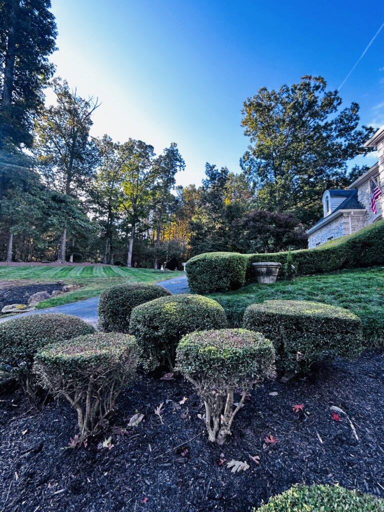 fullsizerender preview (1)