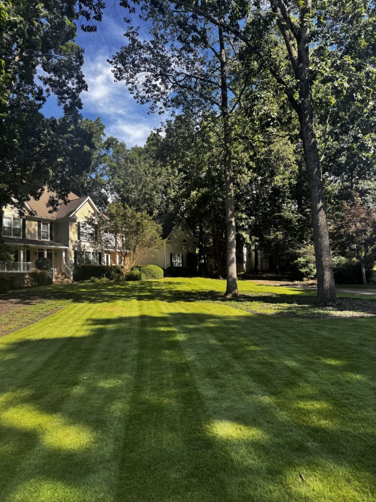 img 8838 scaled.jpeg